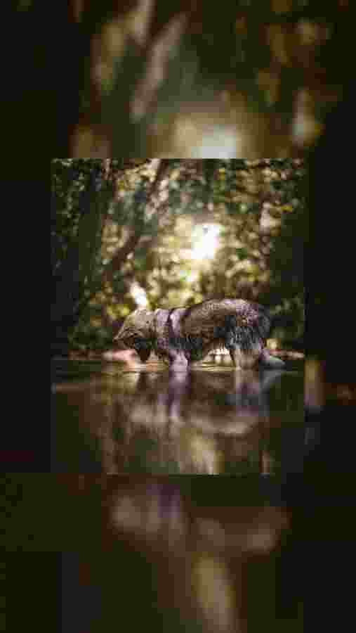 mobile.jpeg